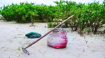 红树林天天赶海