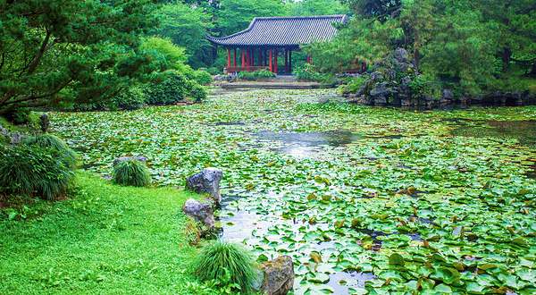 杭州植物园