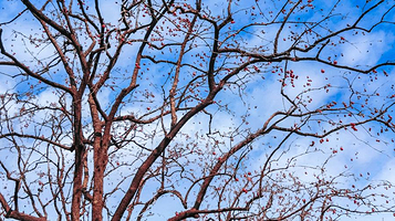 冠山风景旅游区