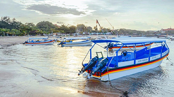 美娜多跃海大鱼