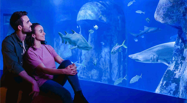 伦敦海洋生物水族馆