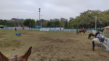 金山文体马术运动中心