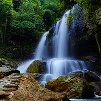 龙岩东肖森林公园