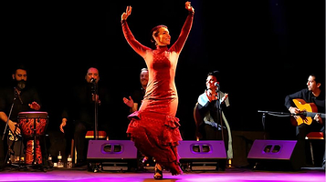 巴塞罗那City Hall剧院弗拉明戈演出