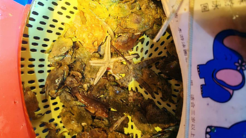 因浪赶海俱乐部