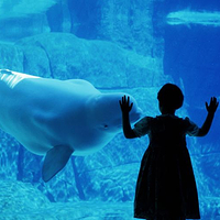 温哥华水族馆