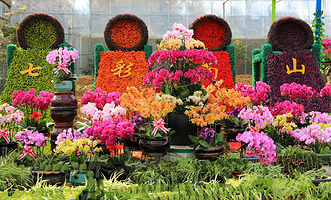 大连七彩南山景区