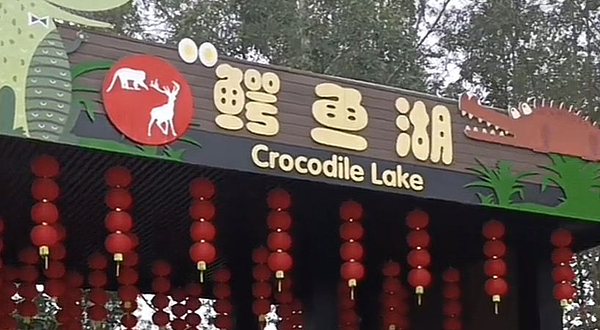 三水森林公园鳄鱼湖
