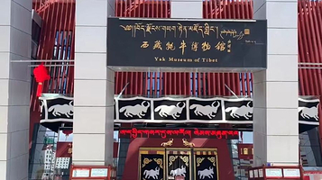 西藏牦牛博物馆