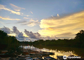 Kampung Kuantan Fireflies Park (Selangor)