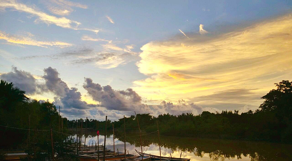 Kampung Kuantan Fireflies Park (Selangor)
