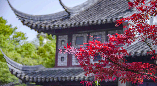 留园