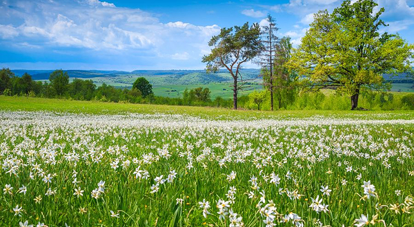 卡卡杜国家公园