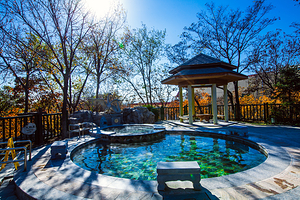 凤山温泉度假村