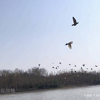 濮上园