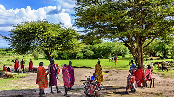 肯尼亚马赛村落