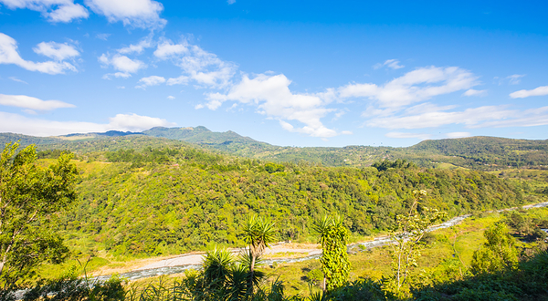 秋吉台自然动物公园Safariland