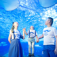 多彩贵州城极地海洋世界