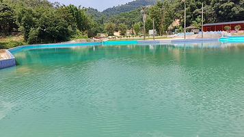 雁鹰湖森林公园