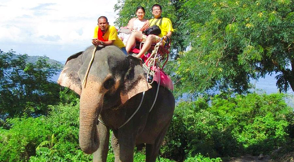 普吉岛卡林海景大象营