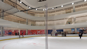 The Rink @ The Arena