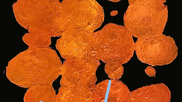 昆明 · 橘子海ORANGE OCEAN 2025 《充电》巡演