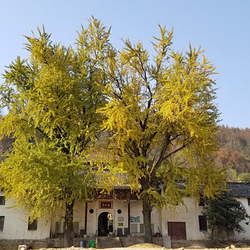 大龙山乌龙溪景区