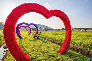 南口侨乡开心农场