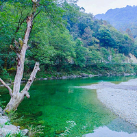 阳坝自然风景区