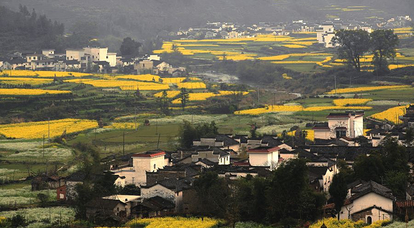 婺源严田