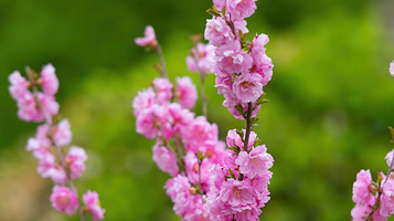 漩门湾国家湿地公园