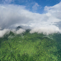 黎母山国家森林公园