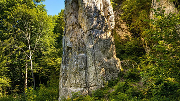 驿马山森林公园