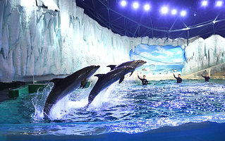 哈尔滨极地公园·极地馆