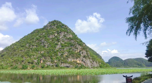 普者黑风景区-西荒湿地
