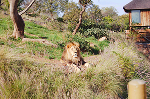 National Zoological Gardens