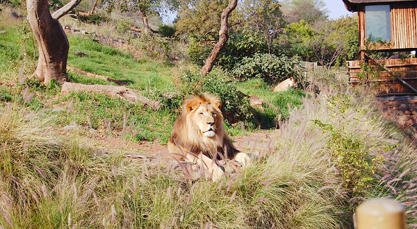 National Zoological Gardens