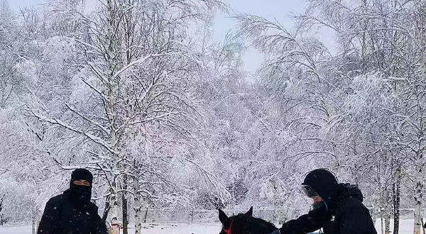 黑狮森林雪骑公园