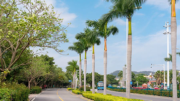 环岛路观光大道