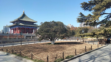 兴庆宫公园游乐场