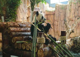 泉州海丝野生动物世界