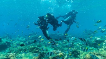 神州半岛洲仔岛潜水水上体验
