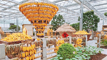 爱思嘉·汴地牧歌