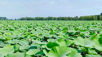 沈阳仙子湖旅游风景区