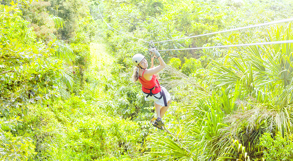 飞翔的长臂猿丛林飞跃