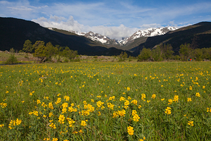 洛矶山国家公园