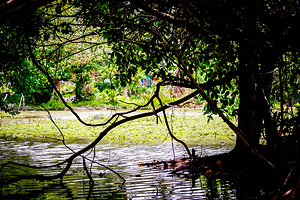 爱丽丝湖省立公园