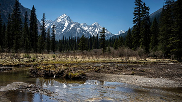 王朗大熊猫探秘营地