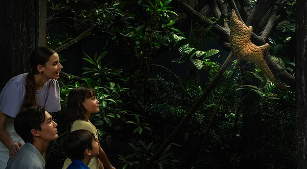 万态野生动物世界