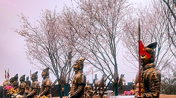 株洲婆仙岭樱花园